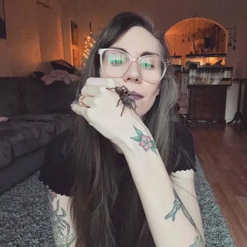 17160 tarantula kat name reveal