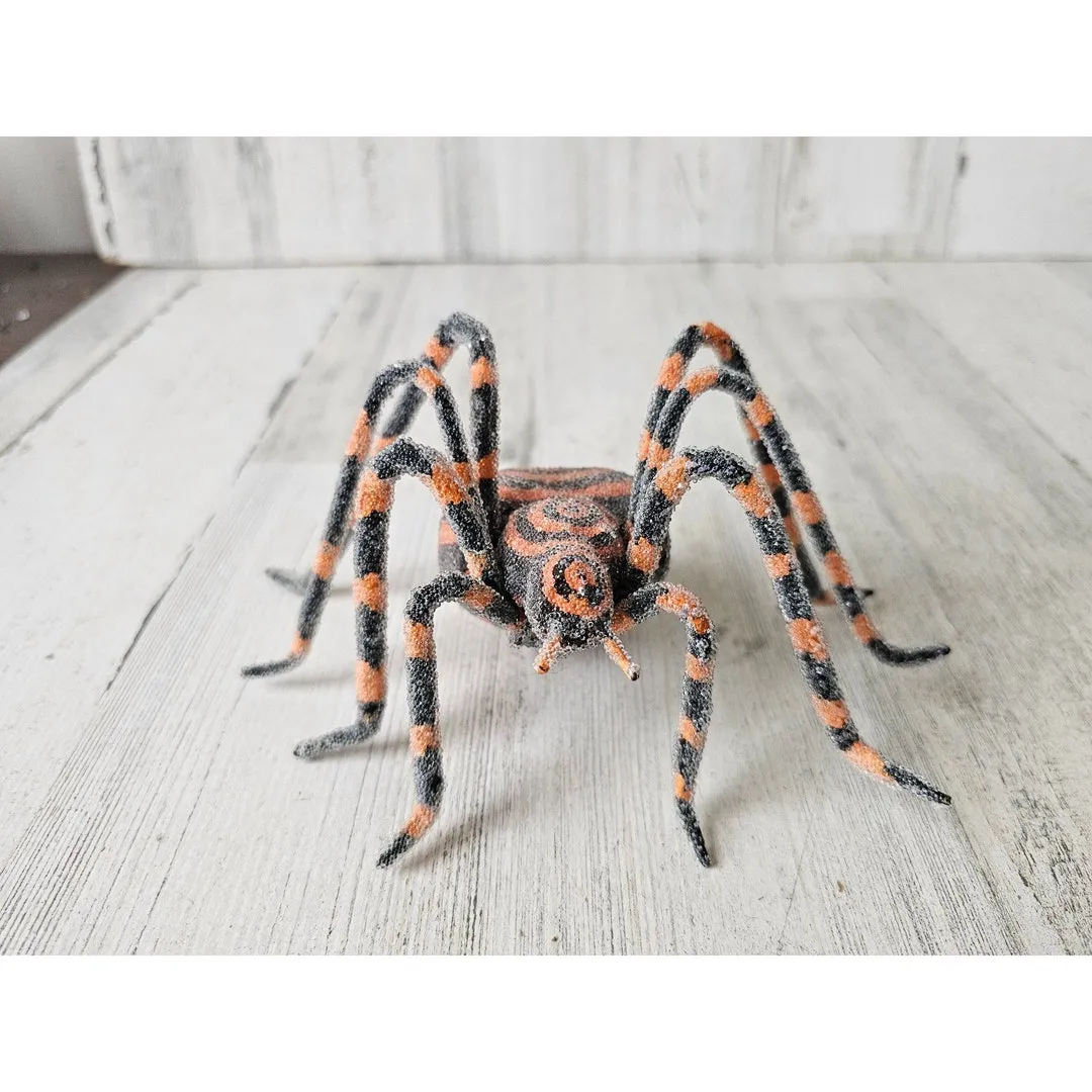 17162 tarantula feeding