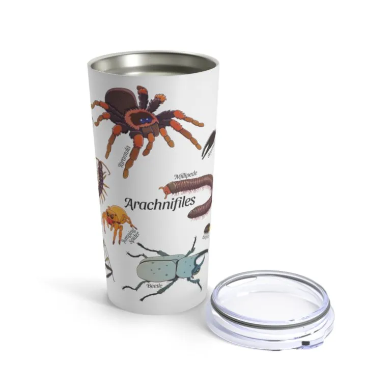 17167 tarantula threat display