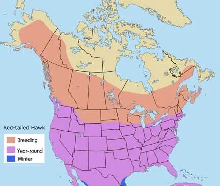/img/17173-tarantula-hawk-warning.webp