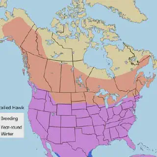 /img/17173-tarantula-hawk-warning.webp