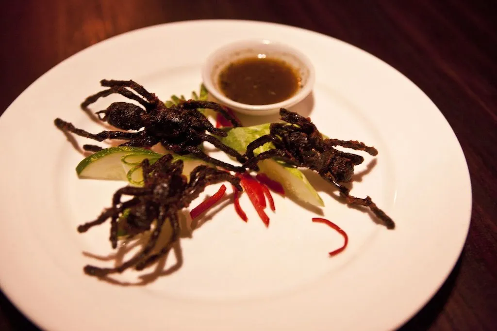 17178 tarantula food cambodia 3