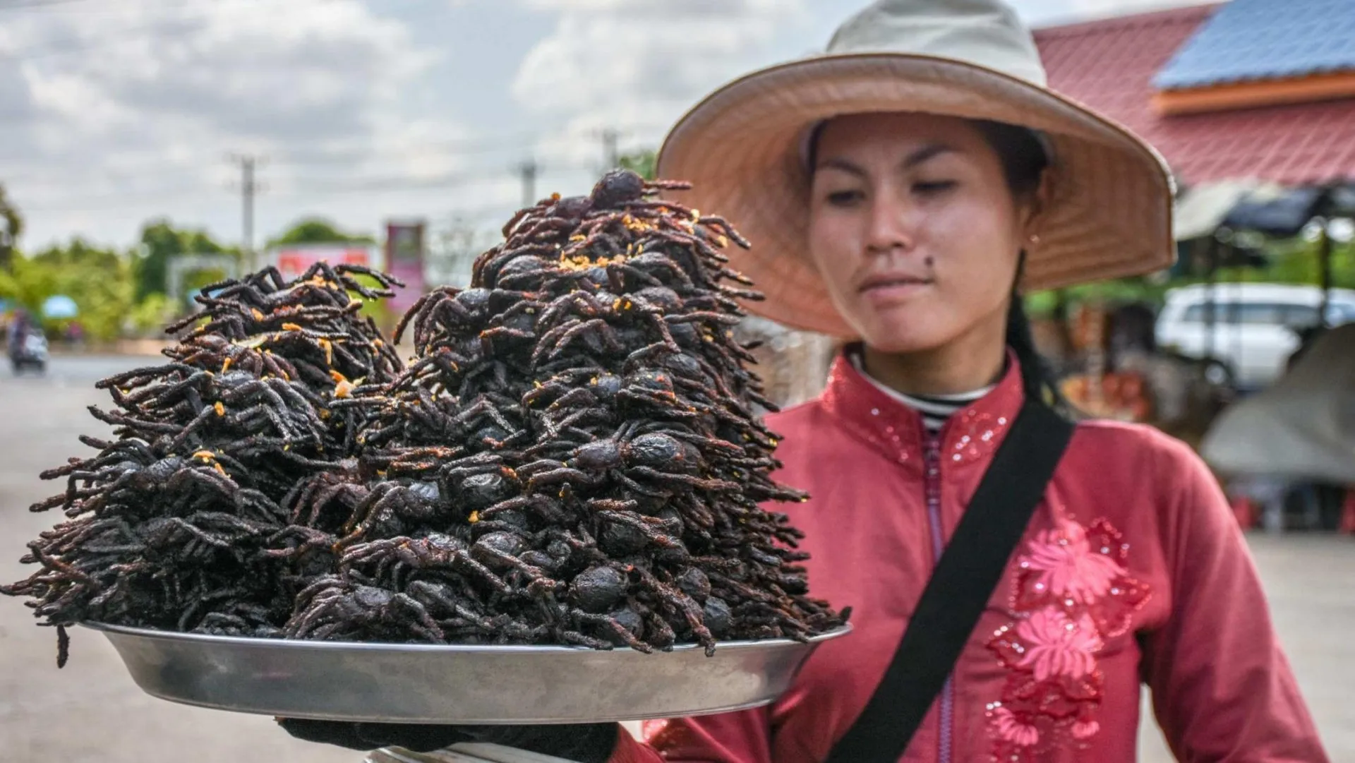 17178 tarantula food cambodia 4