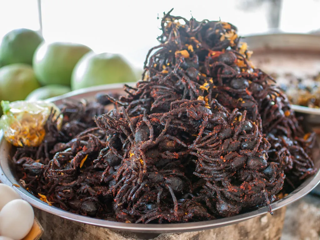 17178 tarantula food cambodia 5