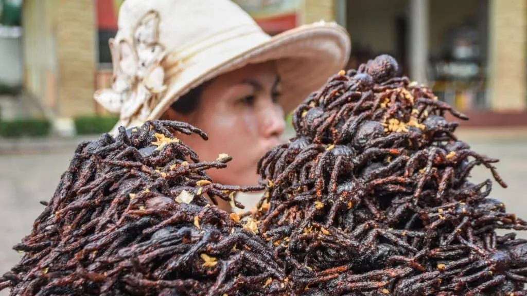 17178 tarantula food cambodia 6