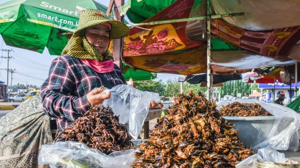 /img/17178-tarantula-food-cambodia-7.webp