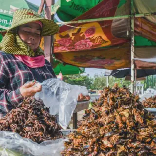/img/17178-tarantula-food-cambodia-7.webp