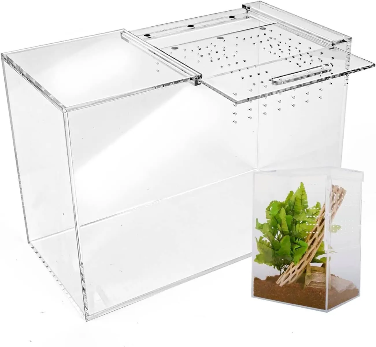 17181 arboreal tarantula enclosure