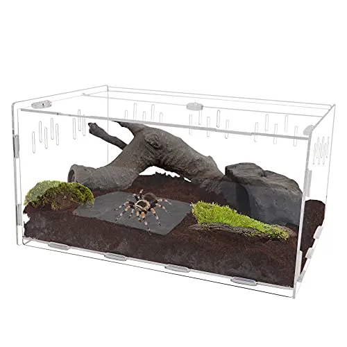 17181 best tarantula enclosure 1