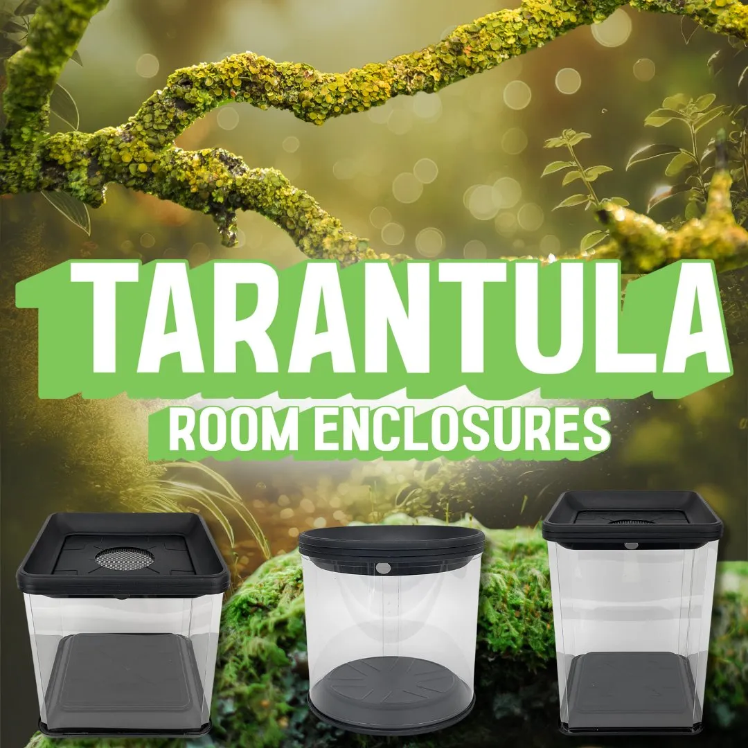 17181 tarantula enclosure substrate