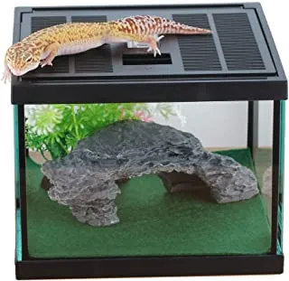/img/17181-tarantula-water-dish.webp