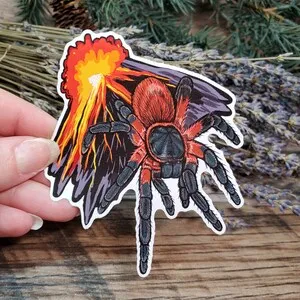 /img/17186-lava-spider-tarantula-breeding.webp