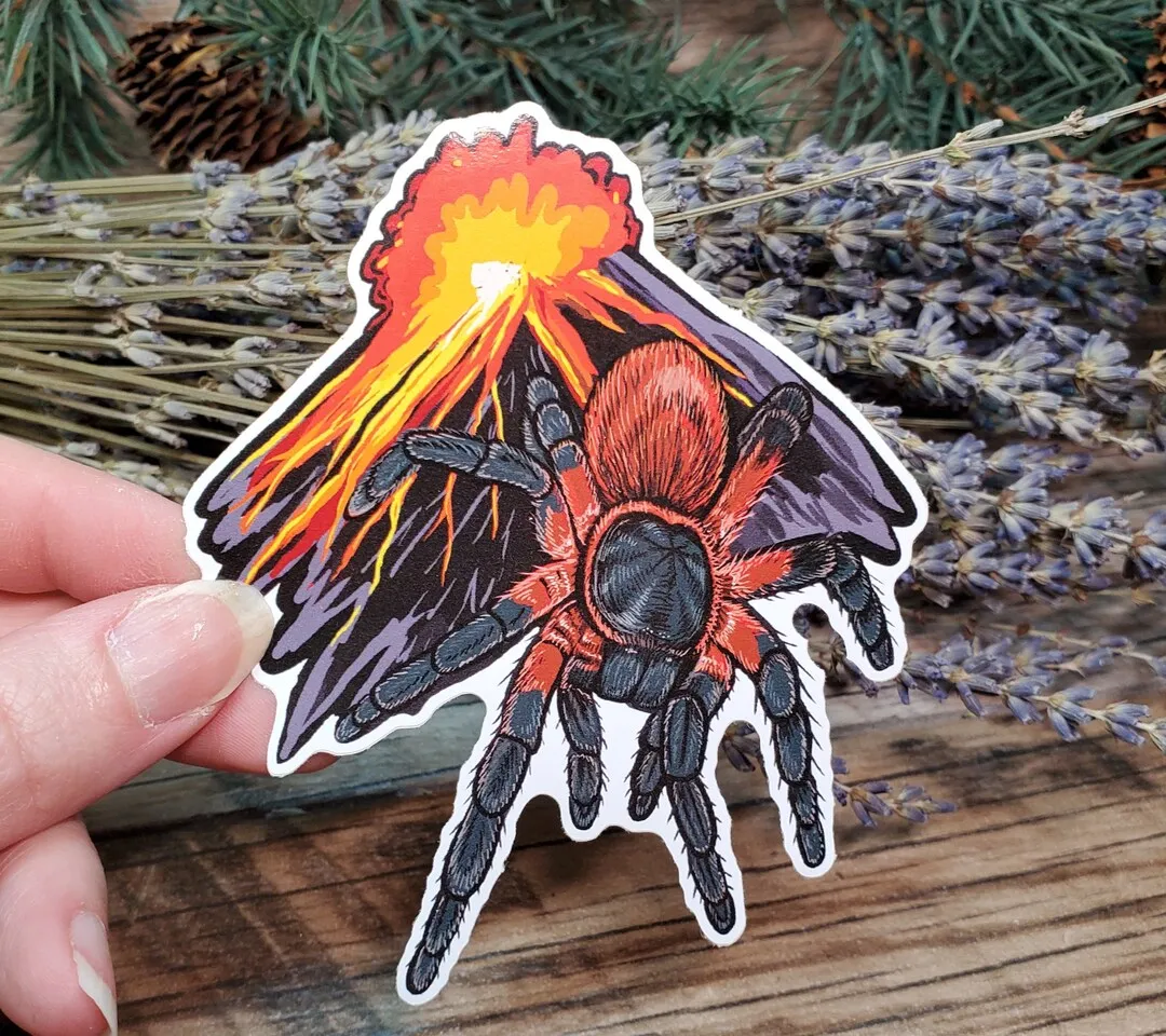 17186 lava spider tarantula enclosure