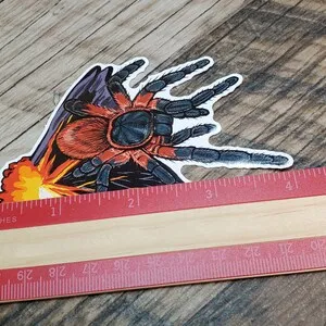 17186 lava spider tarantula handling