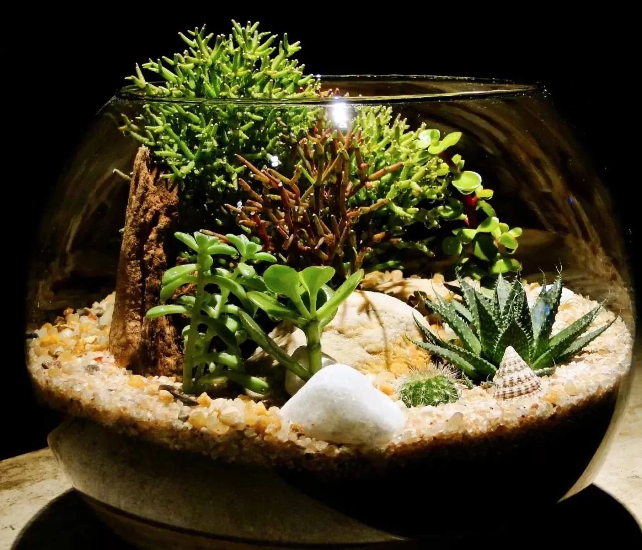 /img/17187-tarantula-habitat-decor.webp