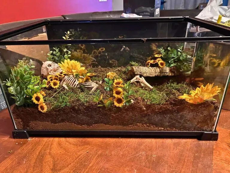 17187 tarantula substrate