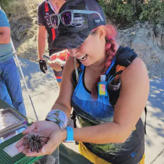 /img/17191-tarantula-facts-2.webp