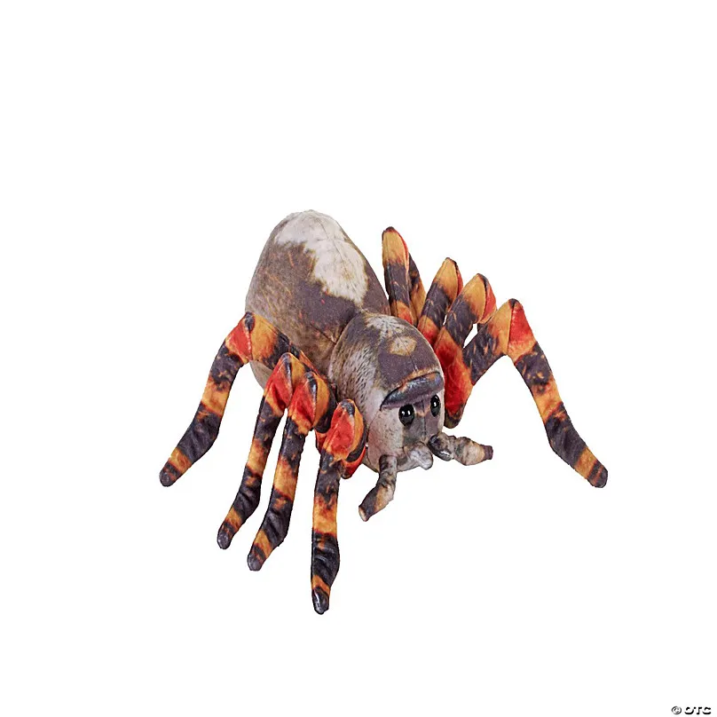 /img/17203-tarantula-enclosure.webp