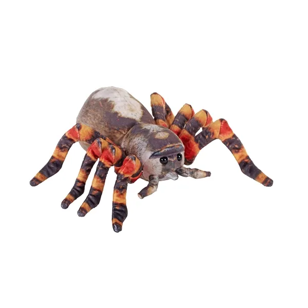 17203 tarantula molting