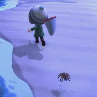 /img/17204-animal-crossing-bug-hunting-tips.webp