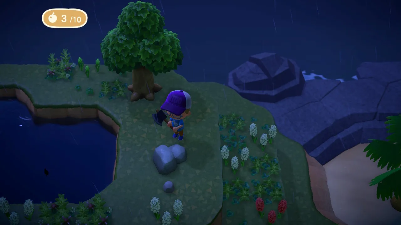 17204 animal crossing tarantula approach