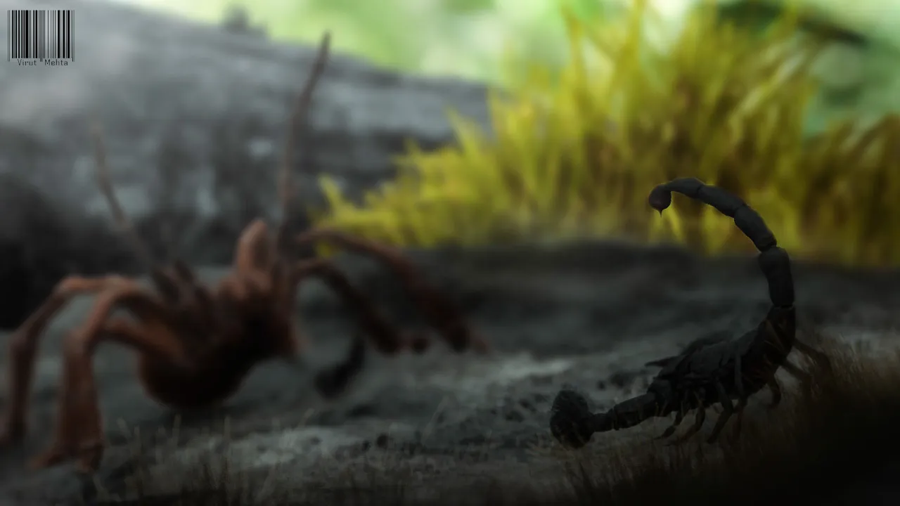 17216 scorpion close up