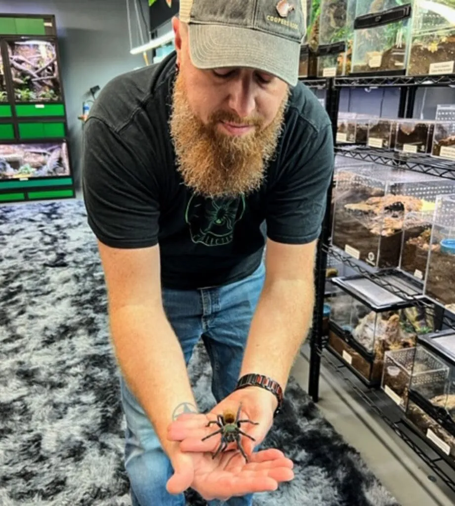 17225 tarantula substrate
