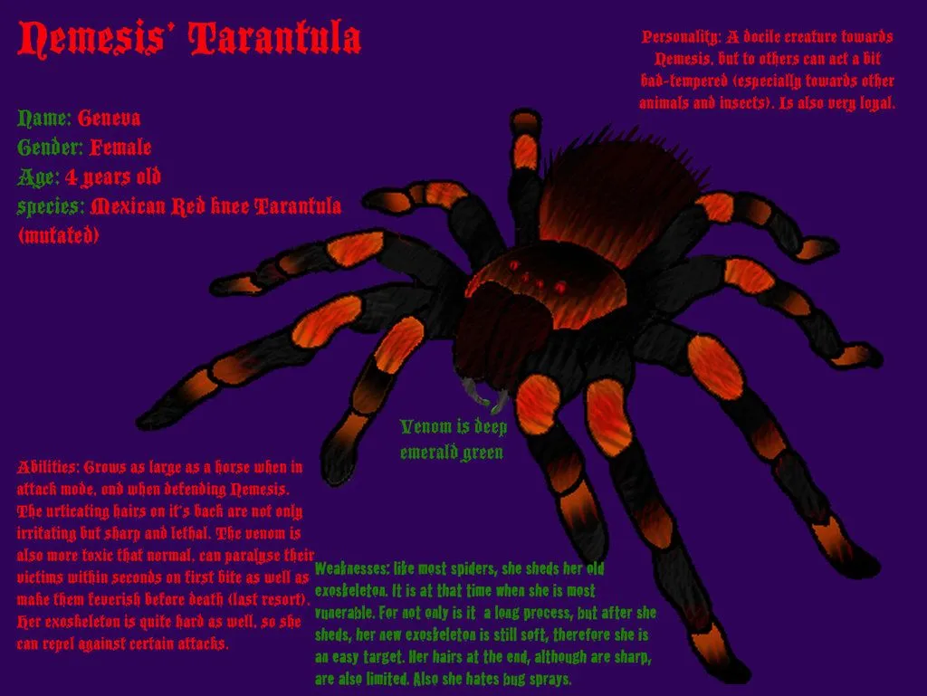 17232 tarantula pet rarities