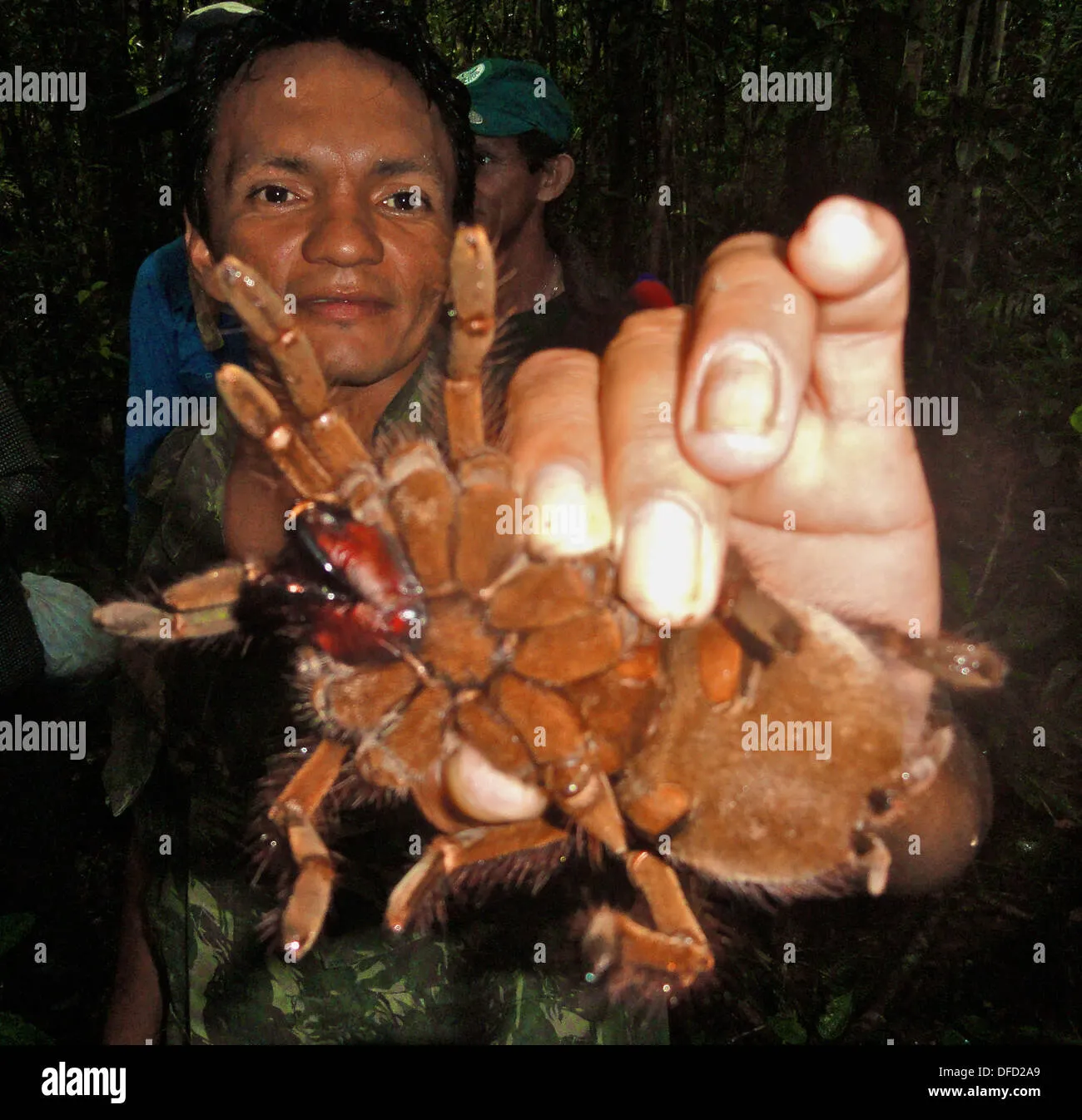 /img/17235-tarantula-appearance.webp